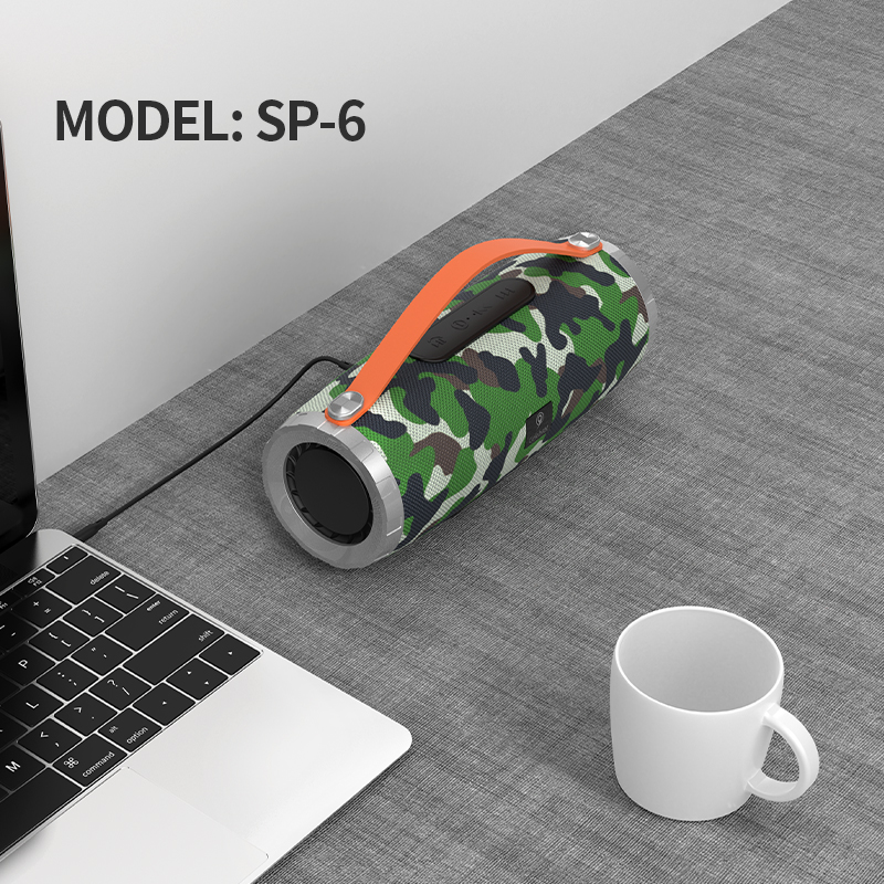 SP-6-1